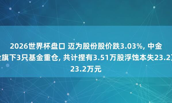 2026世界杯盘口 迈为股份股价跌3.03%, 中金基金旗下3只基金重仓, 共计捏有3.51万股浮蚀本失23.2万元