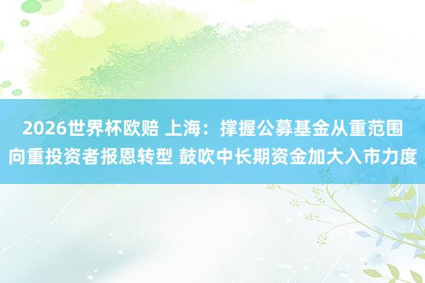 2026世界杯欧赔 上海：撑握公募基金从重范围向重投资者报恩转型 鼓吹中长期资金加大入市力度