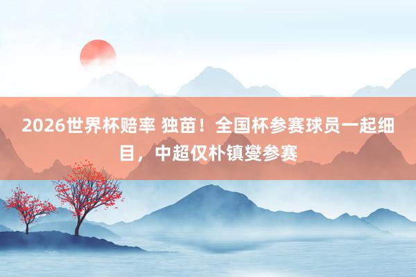 2026世界杯赔率 独苗！全国杯参赛球员一起细目，中超仅朴镇燮参赛