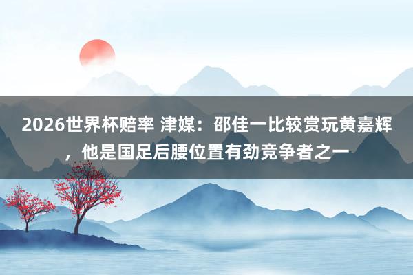 2026世界杯赔率 津媒：邵佳一比较赏玩黄嘉辉，他是国足后腰位置有劲竞争者之一