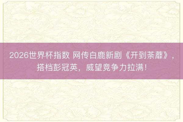 2026世界杯指数 网传白鹿新剧《开到荼蘼》，搭档彭冠英，威望竞争力拉满！