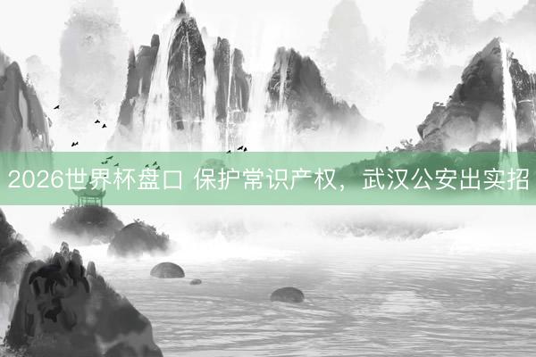 2026世界杯盘口 保护常识产权，武汉公安出实招