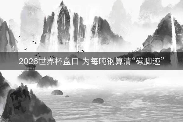 2026世界杯盘口 为每吨钢算清“碳脚迹”