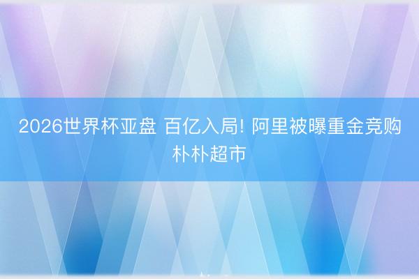 2026世界杯亚盘 百亿入局! 阿里被曝重金竞购朴朴超市