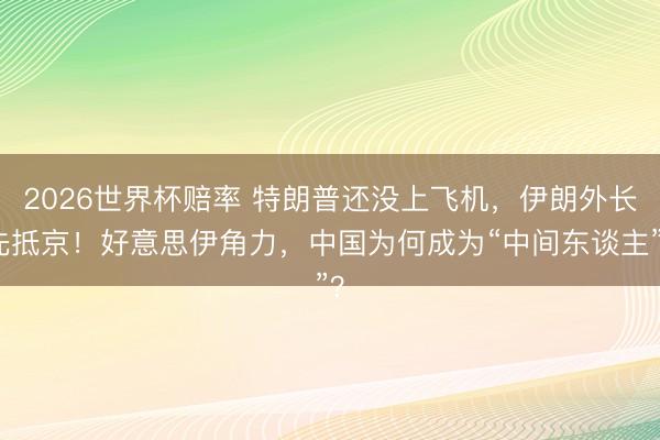2026世界杯赔率 特朗普还没上飞机，伊朗外长先抵京！好意思伊角力，中国为何成为“中间东谈主”？
