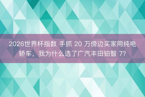 2026世界杯指数 手抓 20 万傍边买家用纯电轿车,我为什么选了广汽丰田铂智 7?